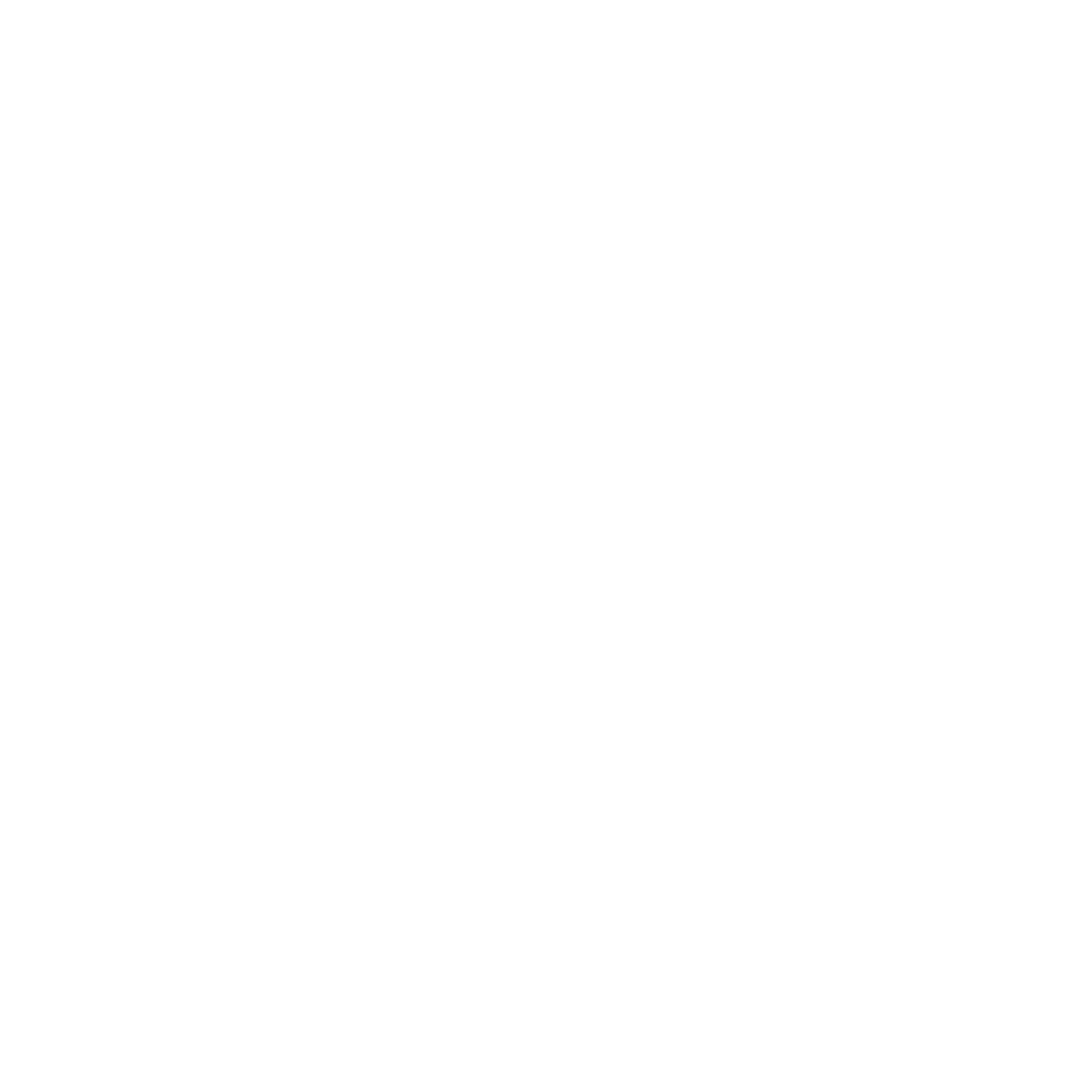 The Timeless Capture Logo